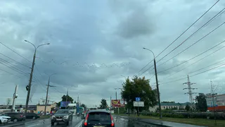 Осень наступит намного раньше, доставайте куртки: синоптик рассказал, какой будет погода в августе 2024