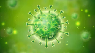 В Брянске за сутки было подтверждено 97 случаев Covid-19