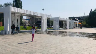 Сгорит вся рассада: синоптик Роман Вильфонд дал прогноз на конец мая - ждите аномальную жару