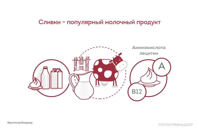 Улучшают обмен веществ, благотворно влияют на зрение