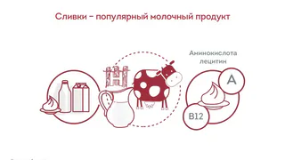 Улучшают обмен веществ, благотворно влияют на зрение