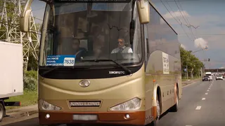 Из Рязани возобновили ежедневные автобусы до аэропорта «Домодедово»