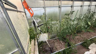 Быстрый способ нагреть грядку на даче для теплолюбивых овощей: без спецприспособлений и бесплатно