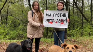 В Рязани зоозащитники вышли на акцию против закона об эвтаназии бездомных животных