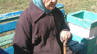 "На скамейке сидит бабушка. Адреса не знает, говорит потерялась"