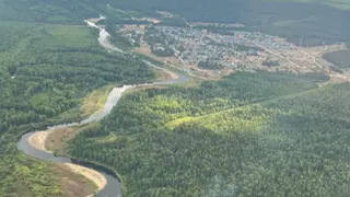 В Коми сократилось количество лесных пожаров благодаря профилактике