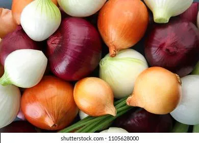 Приметы и запреты на 20 сентября: лечимся луком