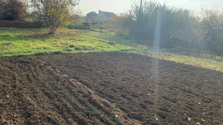 Рязанская область с начала года поставила в Казахстан 156 тонн семян