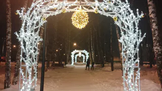 Синоптики рассказали о погоде в Коми на сегодня, 5 января