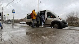Жители Рязани создали петицию против внедрения новой транспортной модели