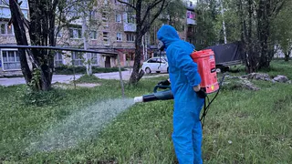 В столице Коми обработали 67 тысяч квадратных метров от клещей