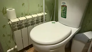 При выходе из дома закидываю чайный пакетик в унитаз – гениальный лайфхак от знакомой горничной