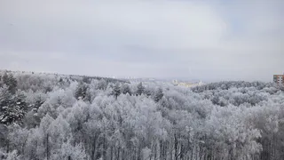 С плюса до минус 40 — температура воздуха резко понизится уже в ближайшие дни