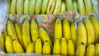 Банановую кожуру посыпаю солью — весь июнь не нарадуюсь своей хитрости: лучший совет для лентяев