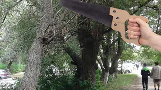 Народный контроль: на Юбилейной вот-вот обломится дерево