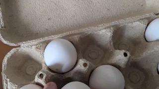 Хитрые продавцы выбирают яйца себе домой лишь так: запоминайте 2 лайфхака