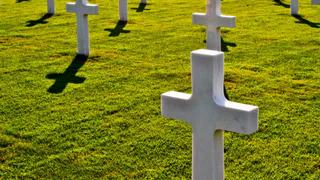 В Пензе пожаловались на запущенное состояние Мироносицкого кладбища