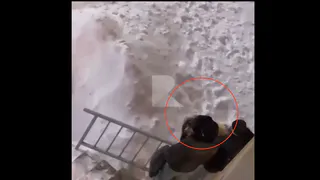 Трагедия в микрорайоне Канищево: мужчина упал с 17 этажа