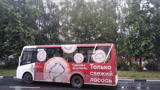 Опубликованы фото с места наезда автобуса на девятилетнюю девочку в Дашково-Песочне