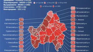 16 брянцев и один иногородний пациент умерли от коронавируса за сутки