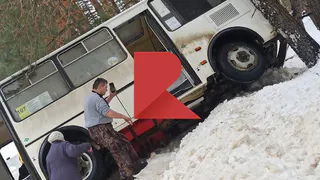 Влетел в дерево: под Рязанью пассажирский автобус попал в ДТП