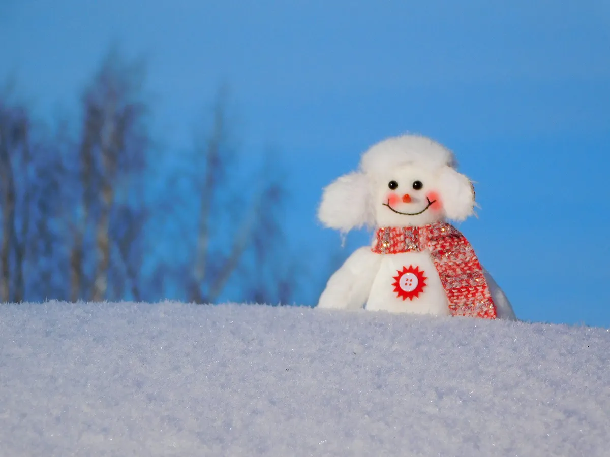 В Челябинской области 26 января ожидается морозная и преимущественно сухая погода