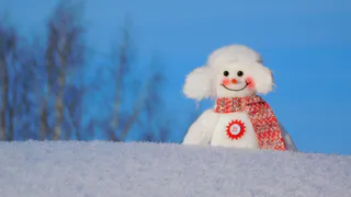 В Челябинской области 26 января ожидается морозная и преимущественно сухая погода