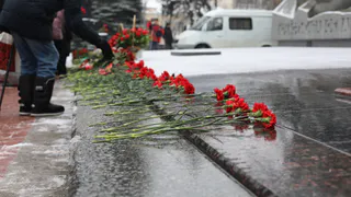 Жители Коми рассказали, что думают о "Дне защитника Отечества"