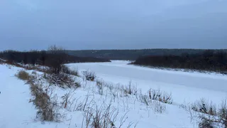 Зима в России отменяется: синоптик Вильфанд поставил окончательную точку в прогнозе на декабрь, январь и февраль