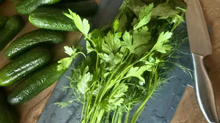 Готовлю огурчики «Бродячие»: рецепт огурцов на зиму от моей свекрови - ни разу за 30 лет она не попробовала другие рецепты соленых огурцов