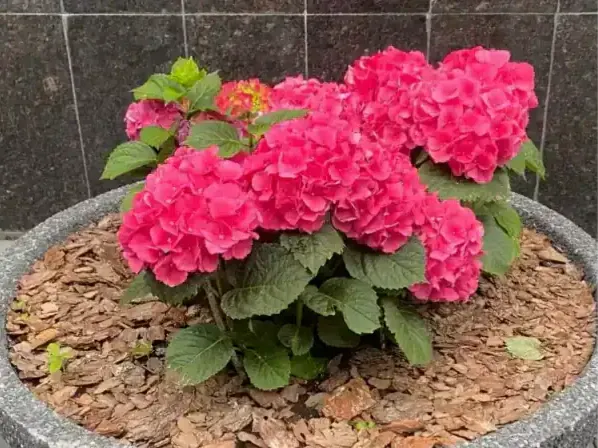 Гороскоп на 7 июля советует довериться интуиции и успеть сделать важное до обеда