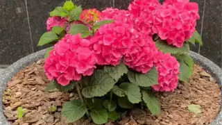 Гороскоп на 7 июля советует довериться интуиции и успеть сделать важное до обеда