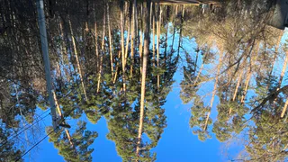 Жителей Ахун услышали: на улице Спартаковской благоустроят пешеходную дорогу и установят цветники