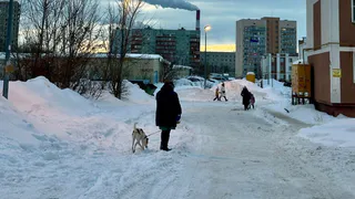 Существенное повышение: Голикова озвучила новый размер пенсии с 20 марта