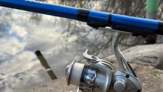 Привезли знакомого из Америки на рыбалку: рассказываем его реакцию на наш обычный отдых на реке