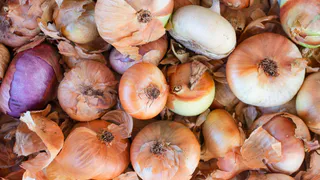 Лук растет как на дрожжах: настой, от которого перья зеленеют, а луковицы "жирнеют"