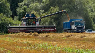 В области продолжаются работы по сбору урожая и заготовке кормов