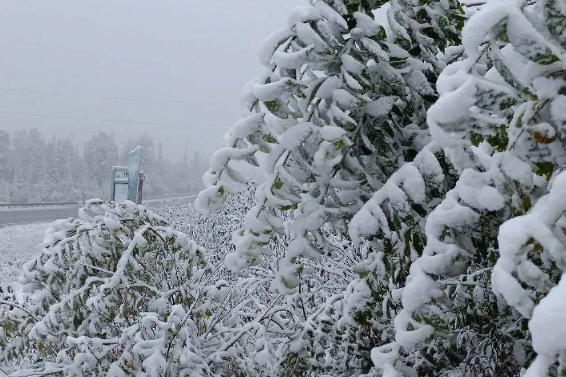 Внезапный удар мороза: почему юг России замерзает уже в сентябре