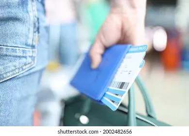 У россиян появилось новое направление для отдыха