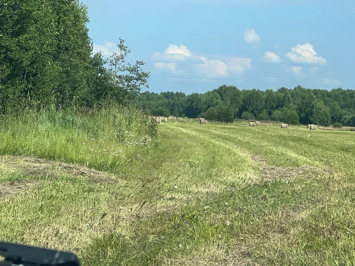 Заброшенные сельхозугодья Южного Урала превратятся в новые леса