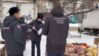 В Челябинске СК провел рейд по иностранным уличным торговцам