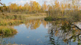 В Рыбновском районе утонул мужчина