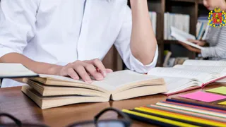 Какие направления стали самыми востребованными у абитуриентов Владимирской области?