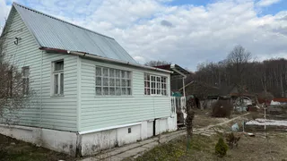 Разобрали даже развалюхи: почему люди кинулись покупать дома в деревне — даже документы не нужны