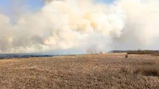 В Чувашии спасатели пять часов боролись с огнём, охватившем леса и поля