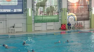 Пензенские девушки взяли три медали  на первенстве ПФО по водному поло