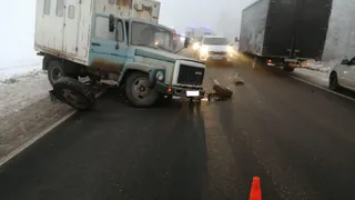 Полиция установила личность погибшего в ДТП в Клепиковском районе