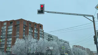 В Касимовском районе «Лада» съехала в кювет, пострадали трое