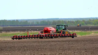 Засуха: в Александро-Невском районе погибло больше половины озимых