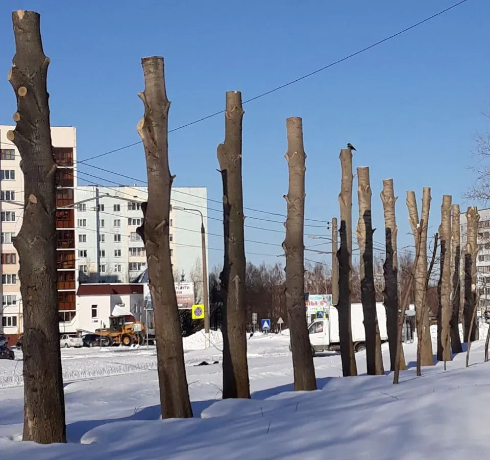 Нижнекамцы: «Это настоящее издевательство!»